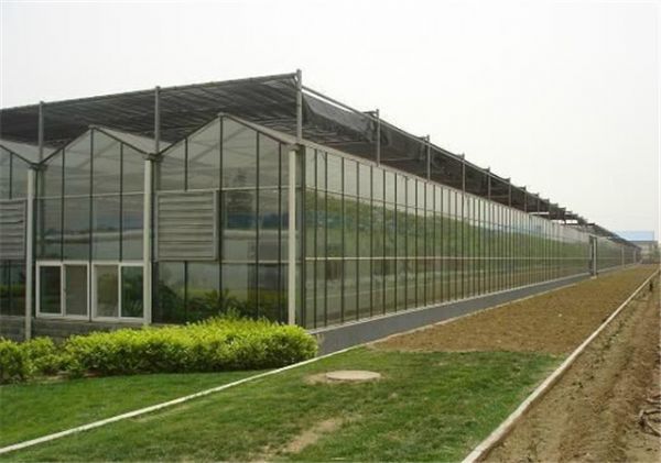 智能温室玻璃大棚