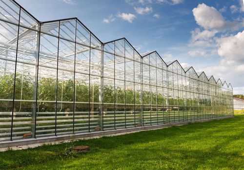 玻璃温室的种植优势